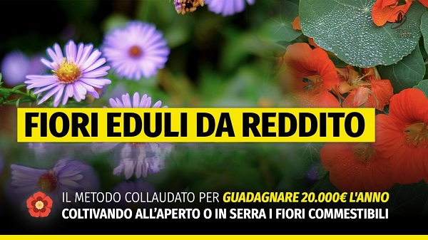 Download fiori eduli da reddito master – rendita agricola