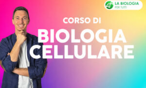 Biologia Celluare – LGEducation